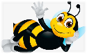 Cfd Bee Image