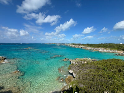 A photo of a blue sea with rocky, vegetation-covered shore.